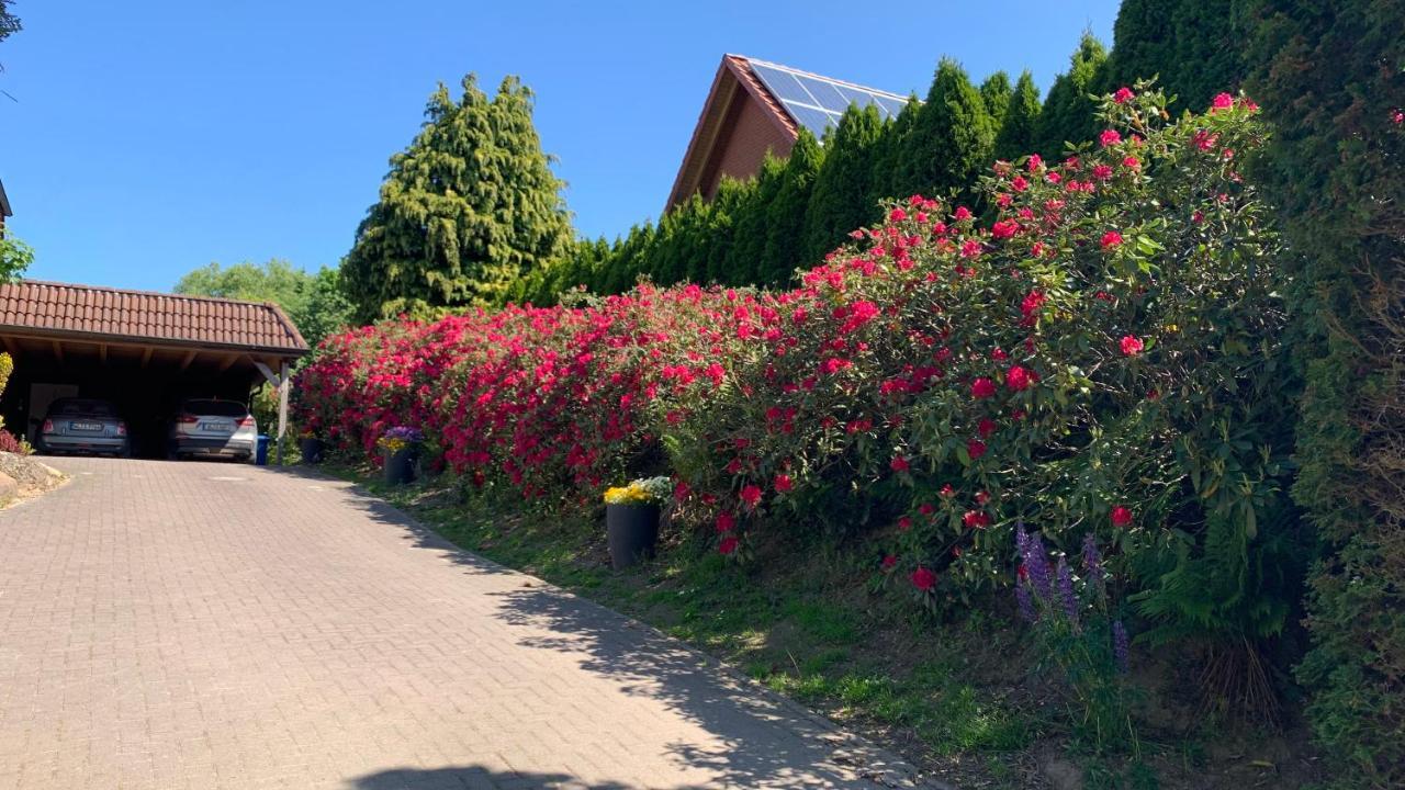 Ferienwohnung Schmidt Rosengarten  Exterior foto